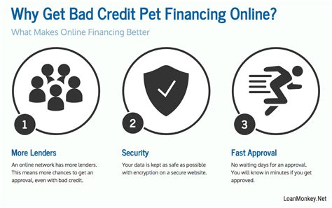 pet financing with bad credit.